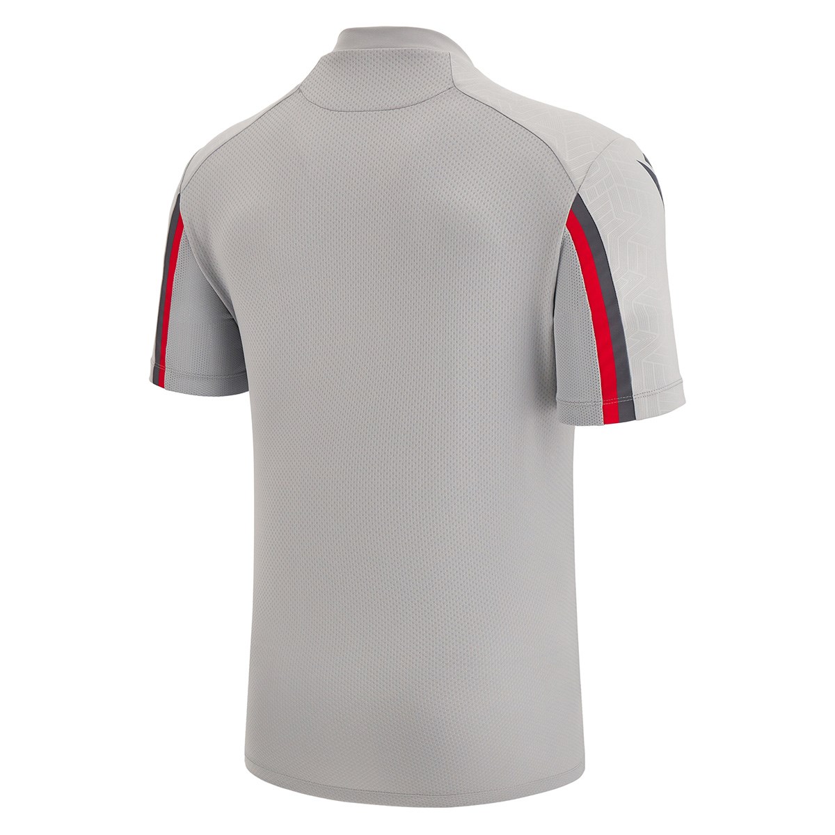 Wales Mens Training Gym Tee - Grey 2023 - Front