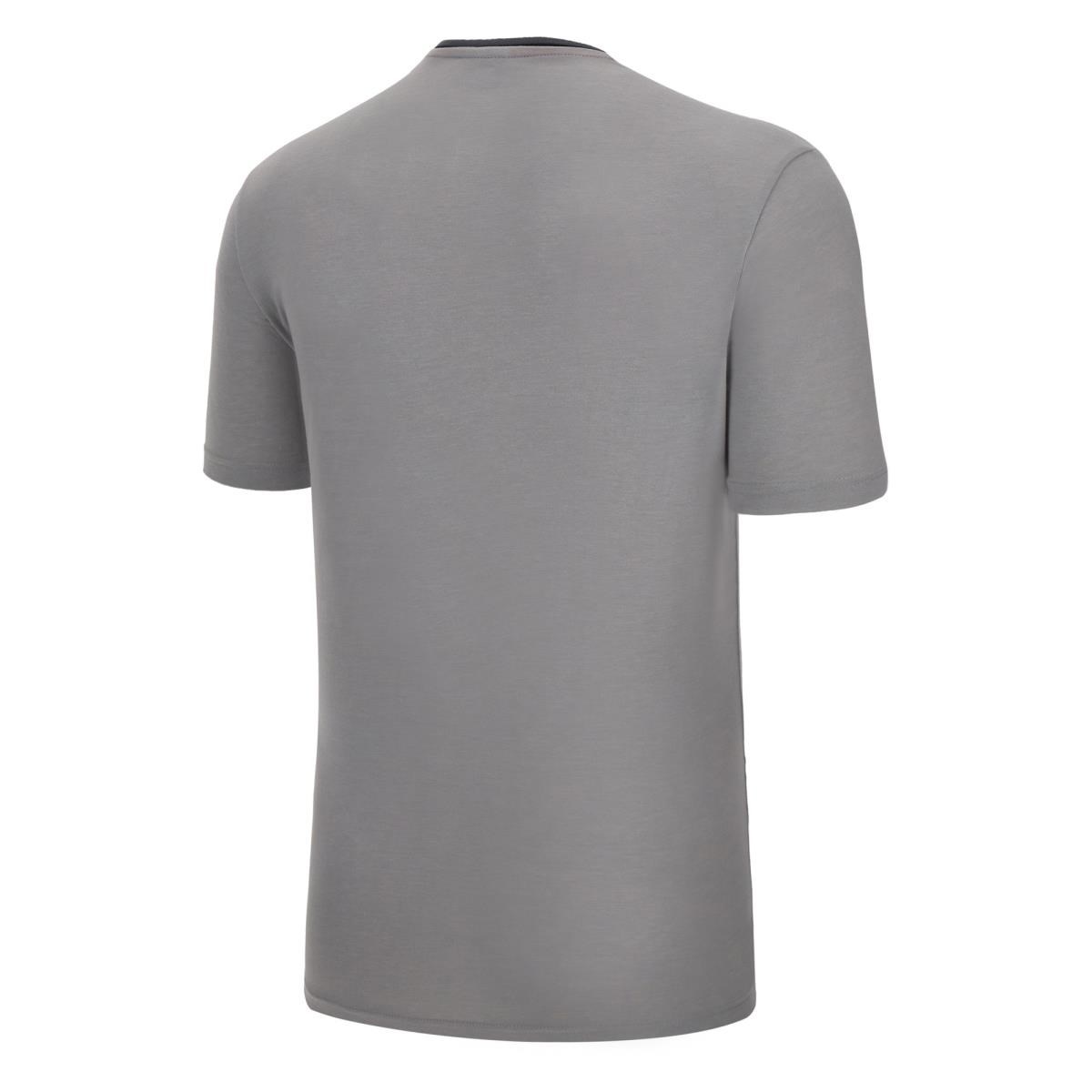 Wales Mens Leisure Cotton Tee - Grey 2023 - Front
