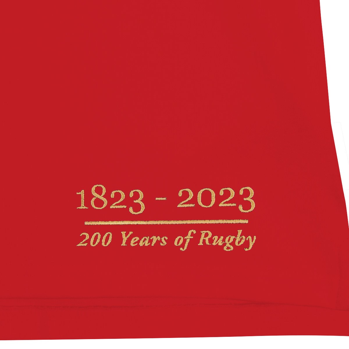 wales-womens-200years-home-shirt-front-sleeve.jpg