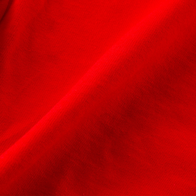 Lions 1888 Printed Tee Red - Detail 2