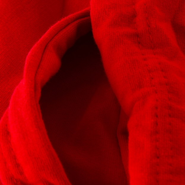 Lions 1888 Womens College Hoodie Fire Red - Detail 3