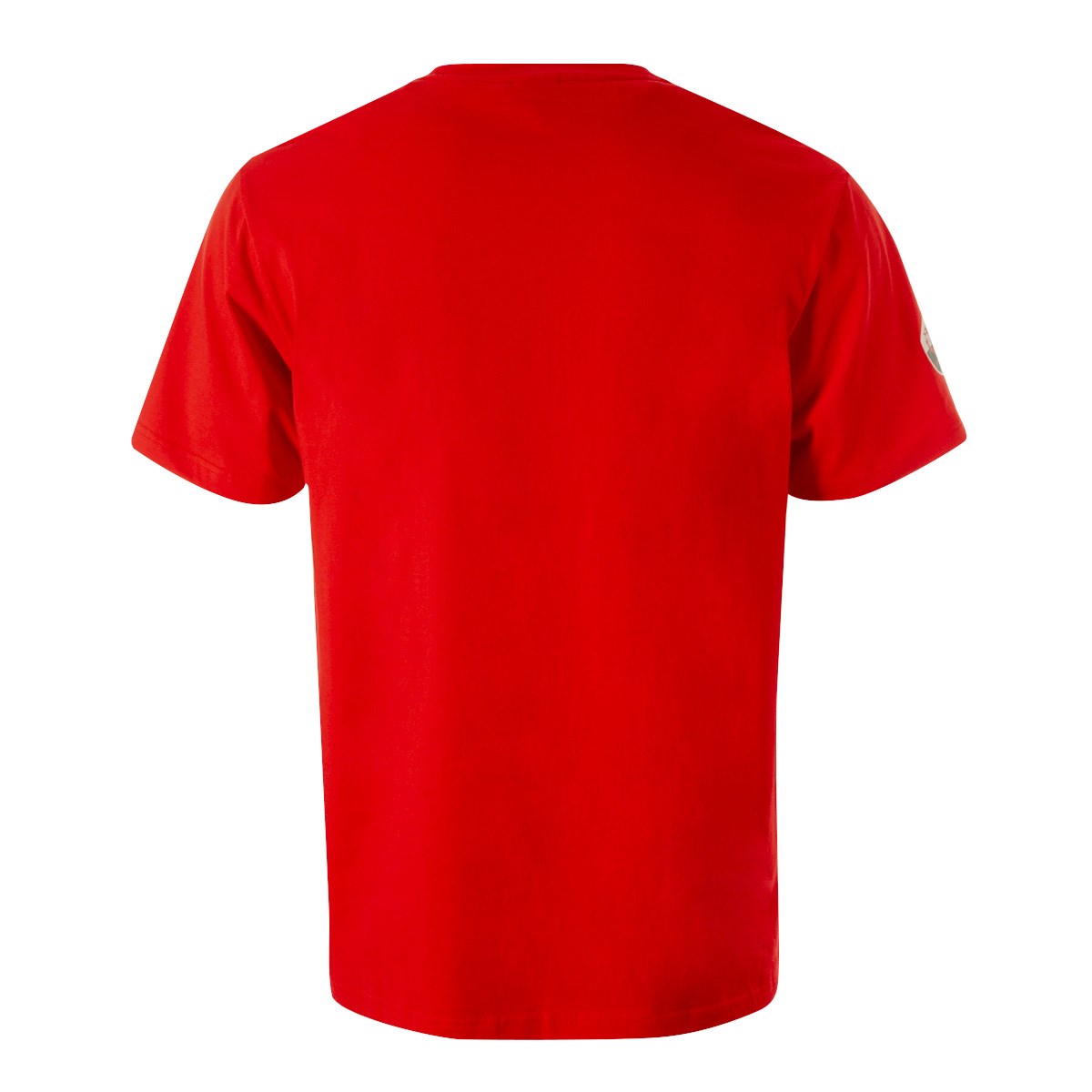 Mens Wales Rugby World Cup 2023 Supporters Tee - Red - Front