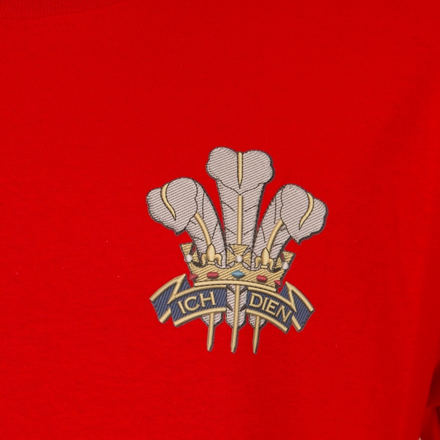 wales-kids-classic-t-shirt-red-feathers.jpg