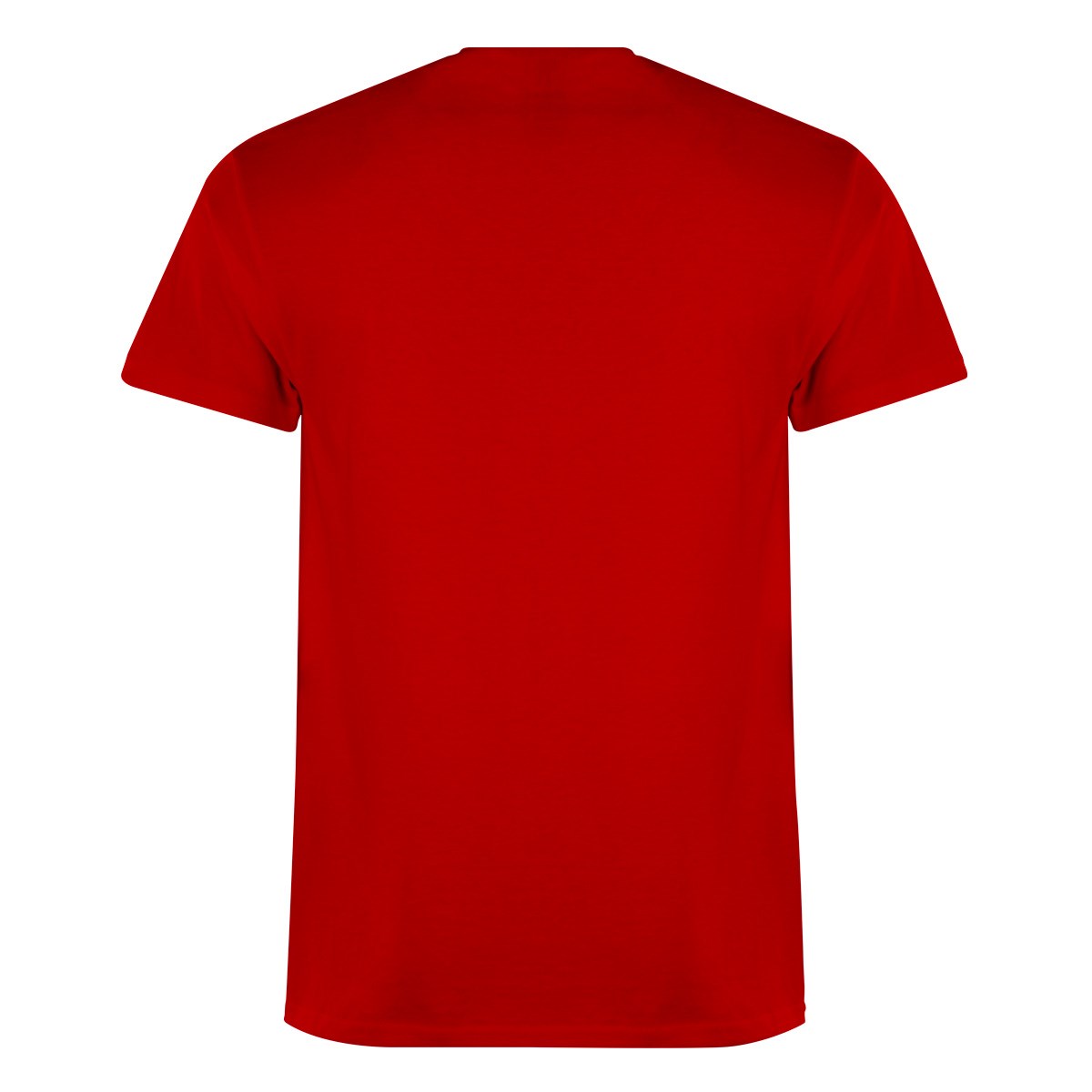 wales-classic-t-shirt-red-front.jpg