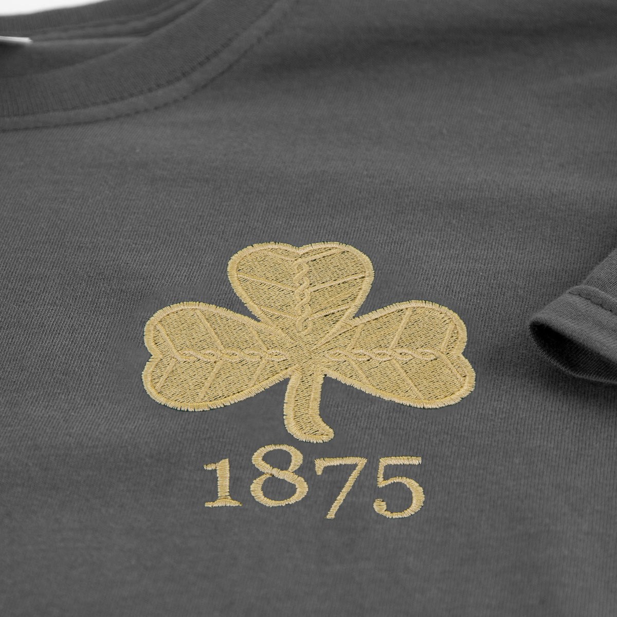 Mens Ireland 1875 Tee - Charcoal - Front