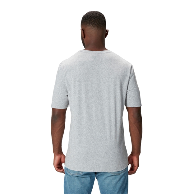 British and Irish Lions Mens Monument T-Shirt Grey - Model Back