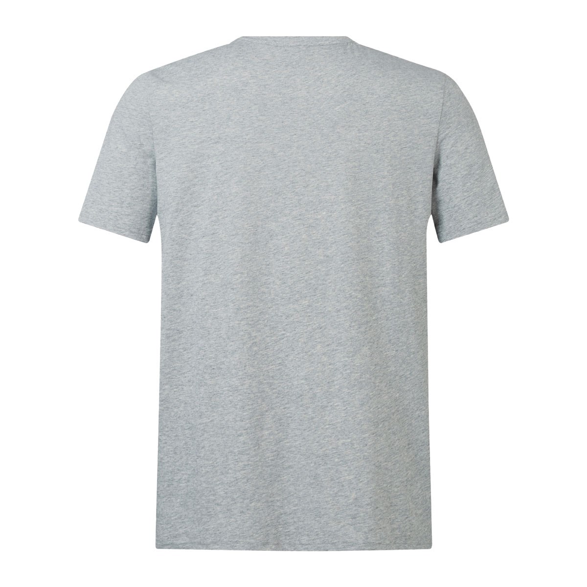 British and Irish Lions Mens Monument T-Shirt Grey - Front