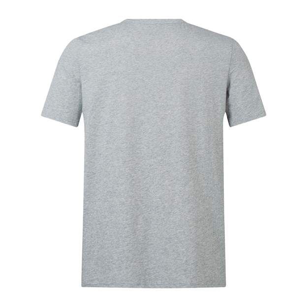 British and Irish Lions Mens Monument T-Shirt Grey - Back