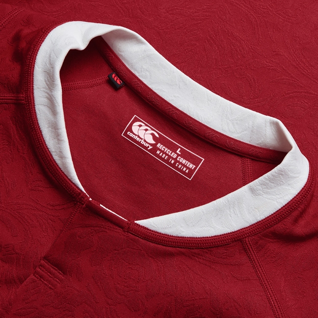 British and Irish Lions Adults Rugby Shirt Red - Collar