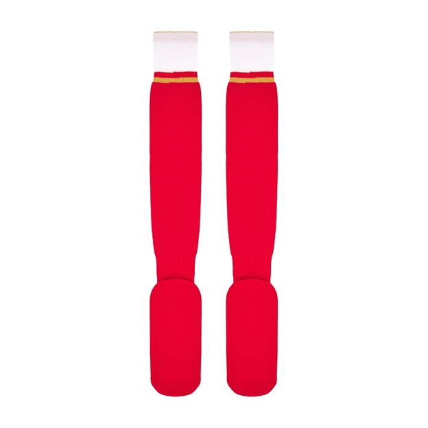 Wales Mens Home Socks - 2025 - Flat Back