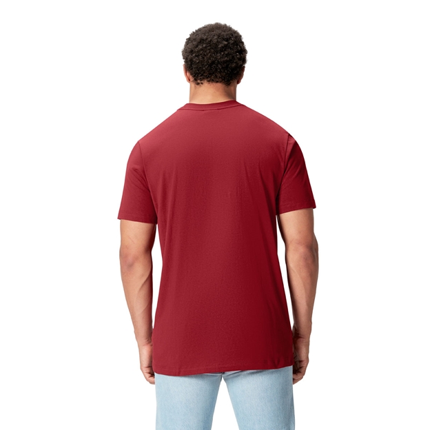 British and Irish Lions Mens Cotton T-Shirt Red - Model Back