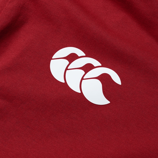 British and Irish Lions Mens Cotton T-Shirt Red - Canterbury