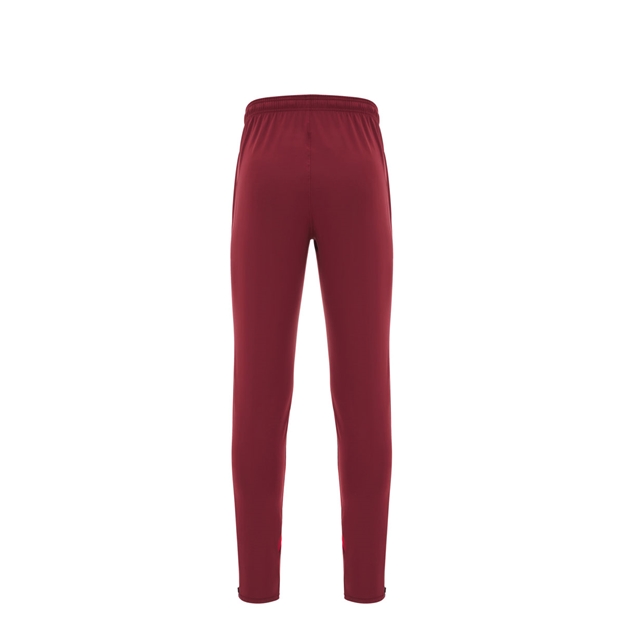 Wales Junior Training Fitted Track Pants 25/26 Dark Red - Back