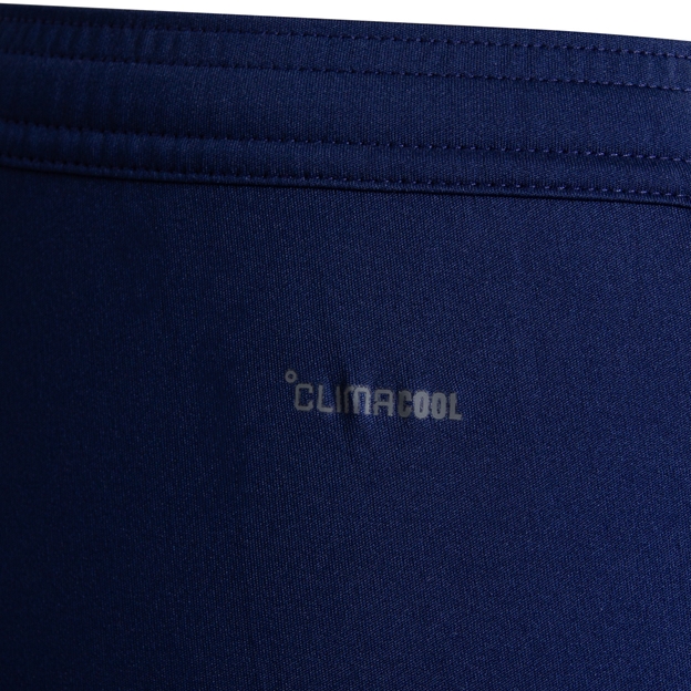 New South Wales Blues Mens Gym Shorts 26/27 Light Blue - Climacool Close-up