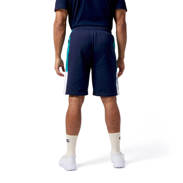 Canterbury Mens Legends Panel Shorts Multi - Model Back