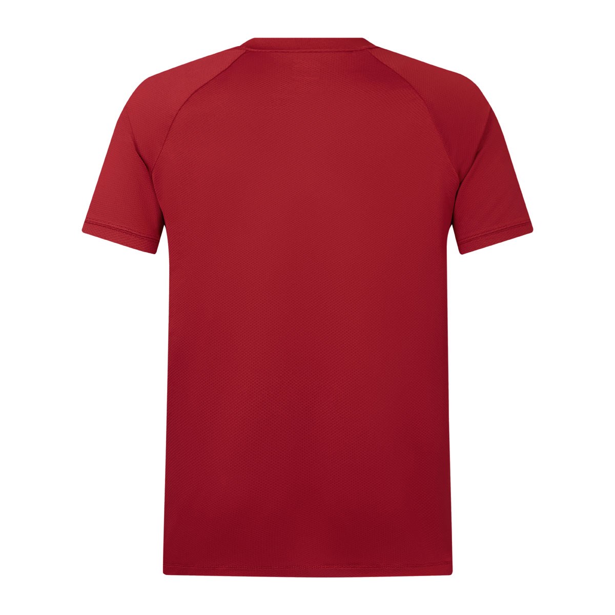 British and Irish Lions Mens Polo Shirt Red - Front