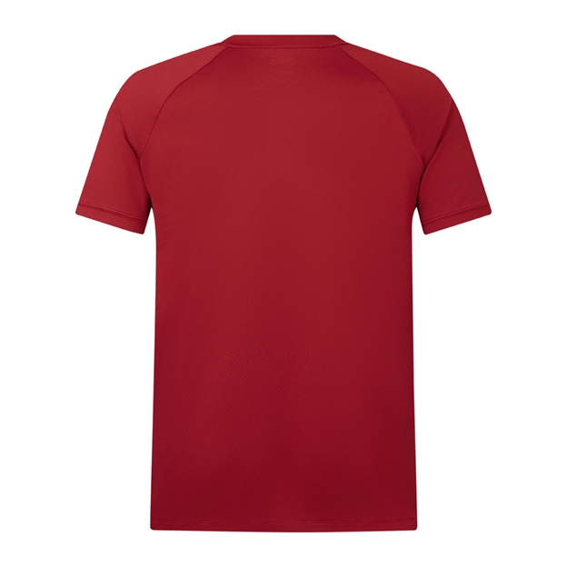British and Irish Lions Mens Polo Shirt Red - Back