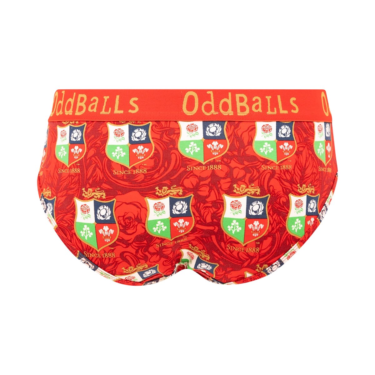 Oddballs British & Irish Lions Womens briefs - Front