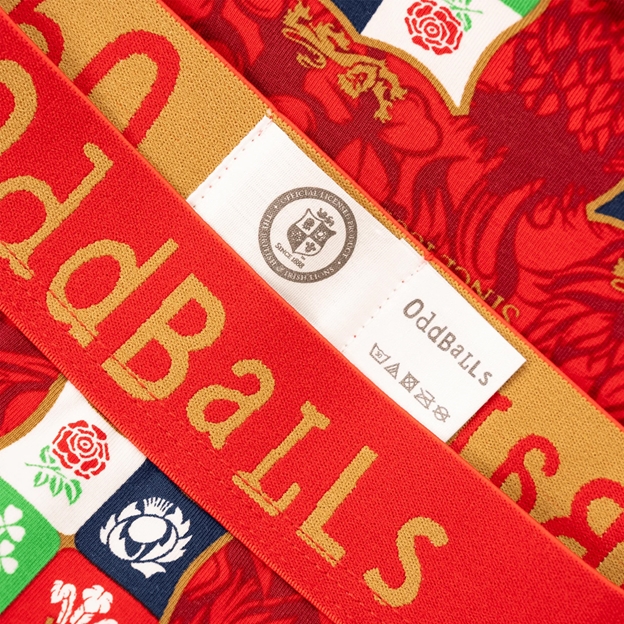 Oddballs British & Irish Lions Womens briefs - Waistband