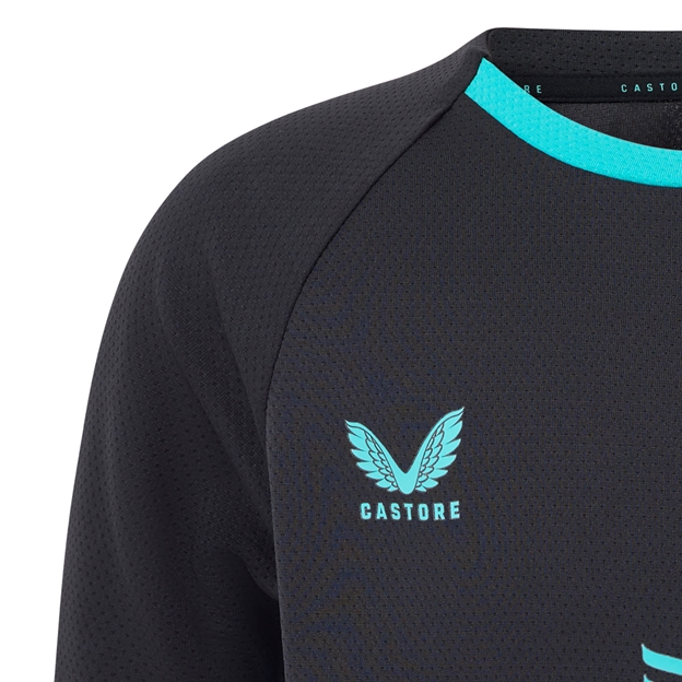 Leinster Mens Performance T-Shirt 25/26 - Castore Logo