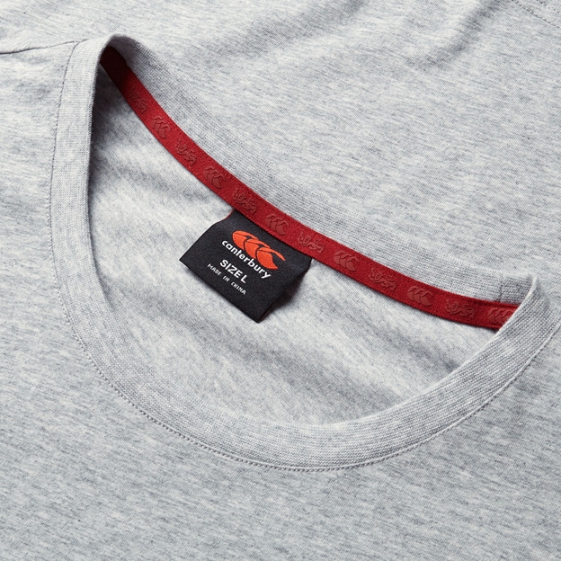 British and Irish Lions Mens Monument T-Shirt Grey - Collar
