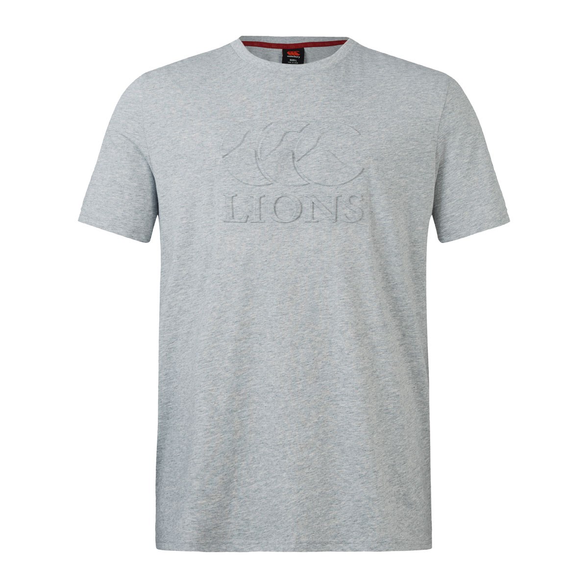 Limited Edition British and Irish Lions Mens Monument T-Shirt Grey - Back