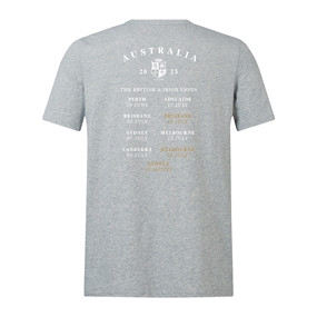 Limited Edition British and Irish Lions Mens Monument T-Shirt Grey - Back