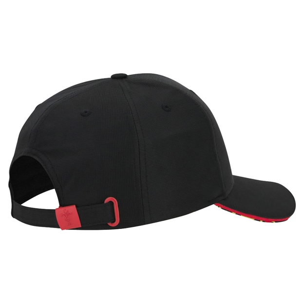 Wales Adults Baseball Cap Curve Visor 25/26 Black - Back