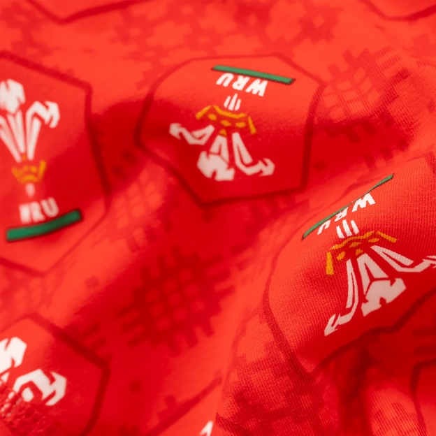 OddBalls Mens Wales Home Boxer Shorts 25/26 Red - Print