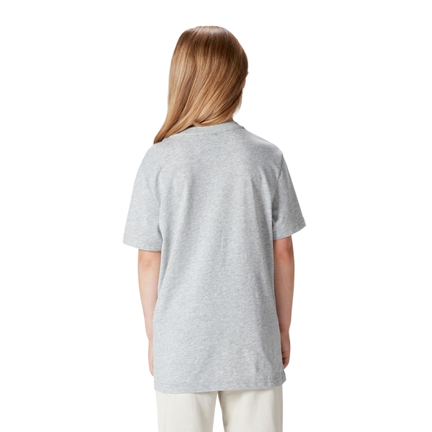 British and Irish Lions Junior Monument T-Shirt Grey - Model Back