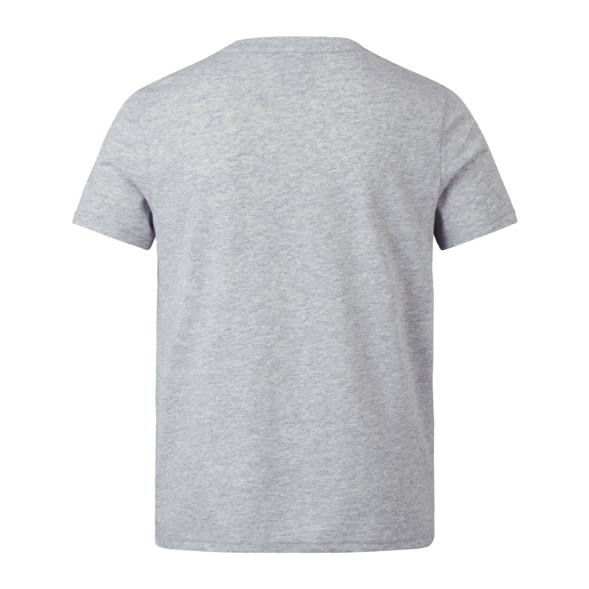British and Irish Lions Junior Monument T-Shirt Grey - Front