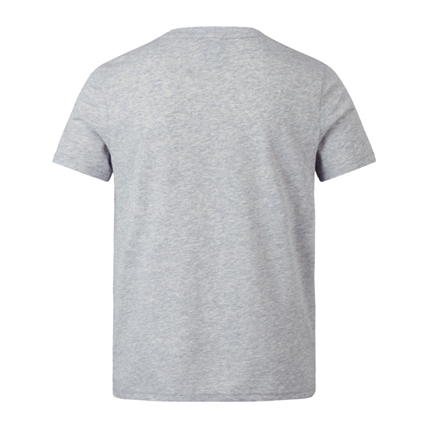 British and Irish Lions Junior Monument T-Shirt Grey - Back