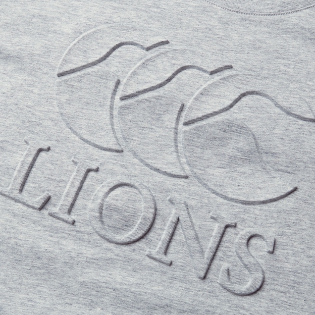 British and Irish Lions Junior Monument T-Shirt Grey - Canterbury
