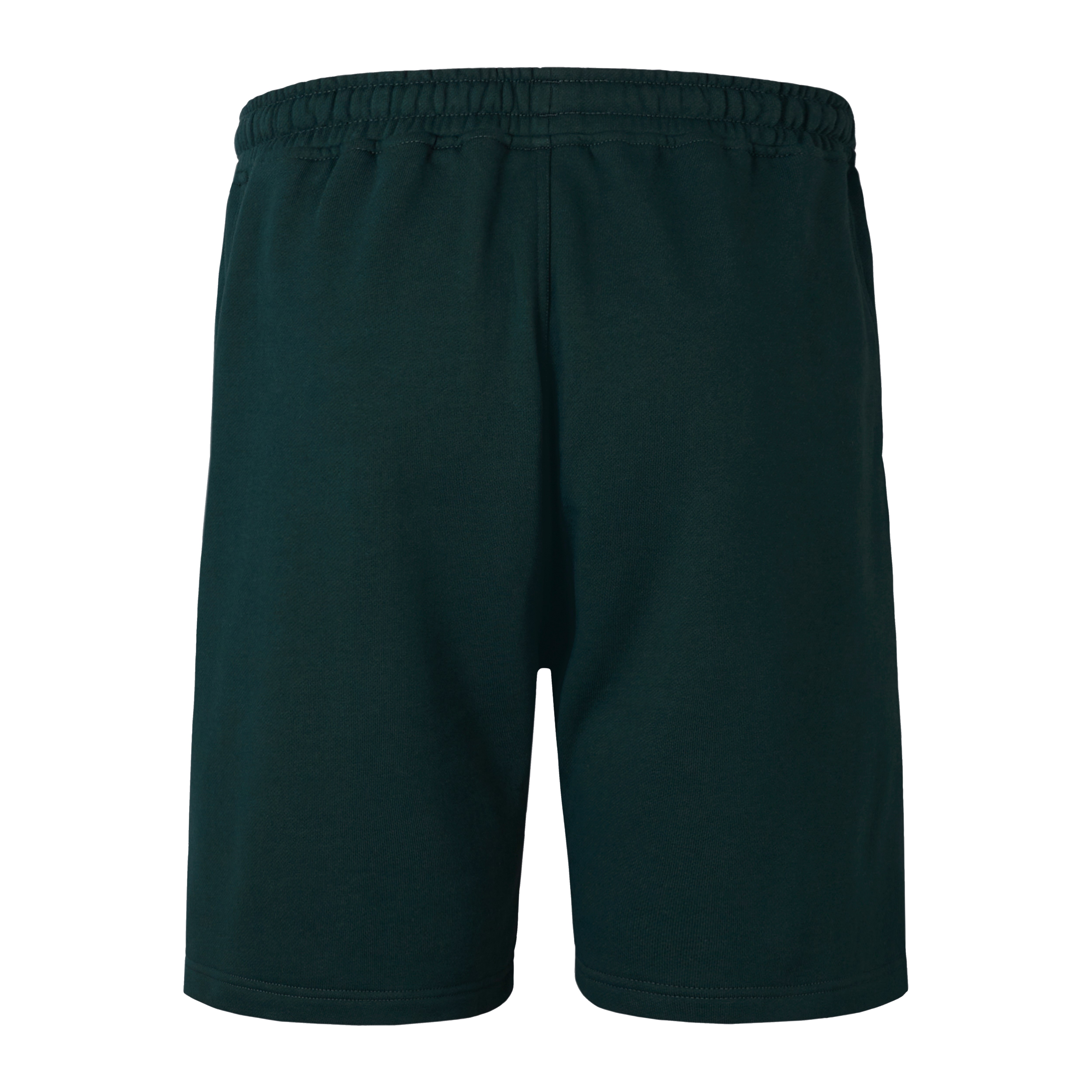 British and Irish Lions Mens Stealth Fleece Shorts Green - Front