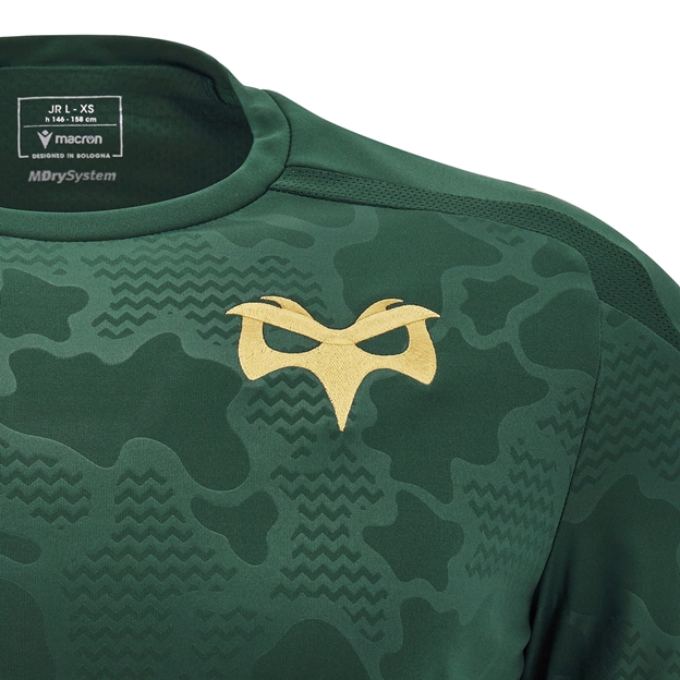 Ospreys Junior Training T-Shirt - 24/25 - Osprey