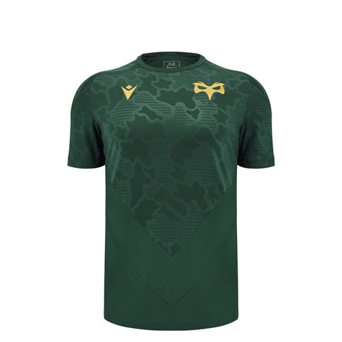 Ospreys Junior Training T-Shirt - 24/25 - Front