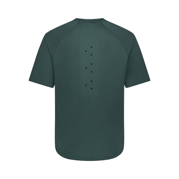 Canterbury Mens Everest Tee Green - Back