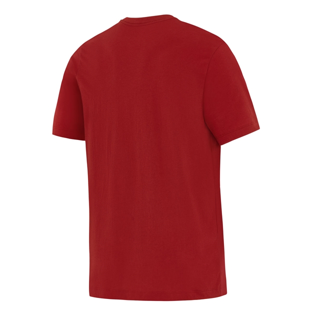 British & Irish Lions Mens Travel T-Shirt 2027 Pepper Red - Back View