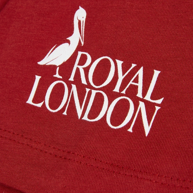 British & Irish Lions Mens Travel T-Shirt 2027 Pepper Red - Sponsor Logo