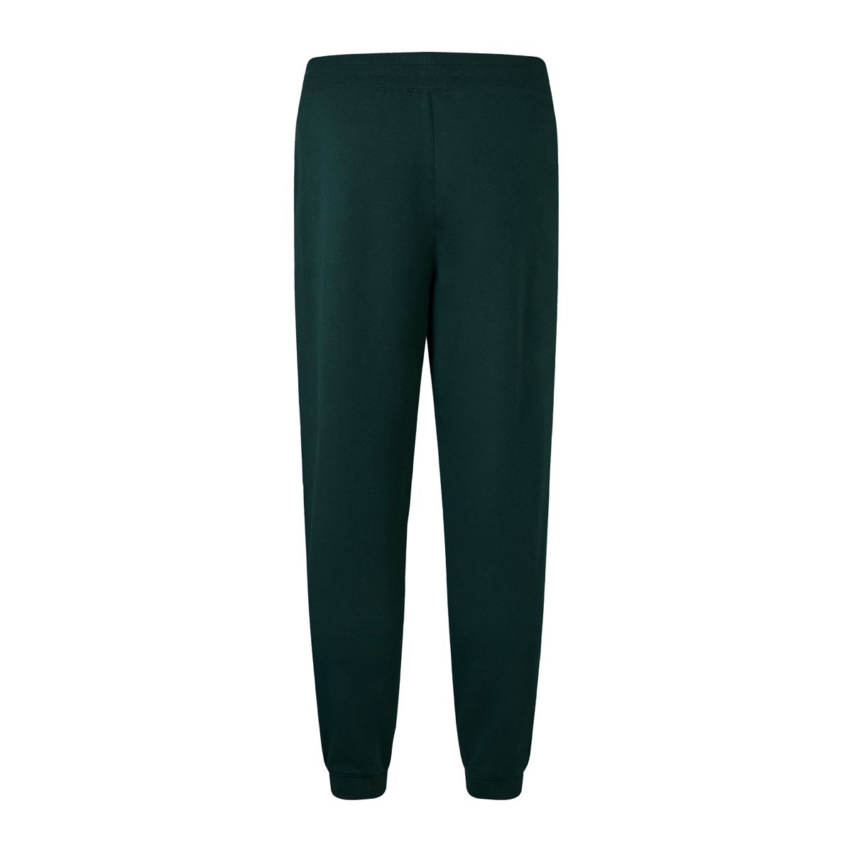 British and Irish Lions Mens Stealth Fleece Pant Green - Front