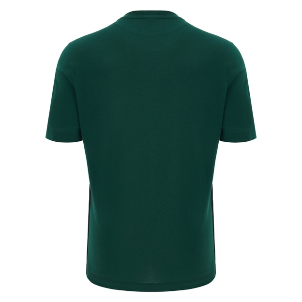 Wales Mens Travel T-Shirt 26/27 Green - Back View