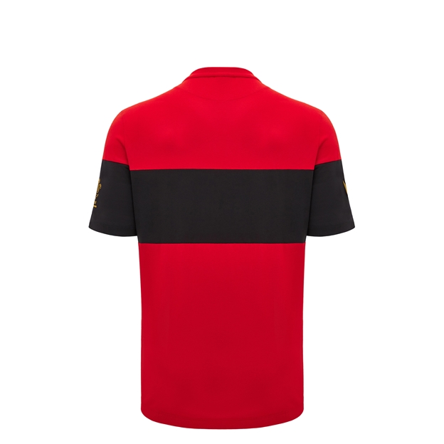 Wales Kids Travel Leisure T-Shirt - Red 2025 - Back