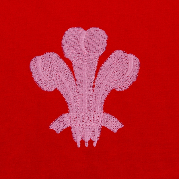 Womens World Cup Wales Kids Classic Hoodie Red - Welsh Feathers