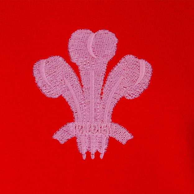 Womens World Cup Wales Adults Classic Hoodie Red - Welsh Feathers