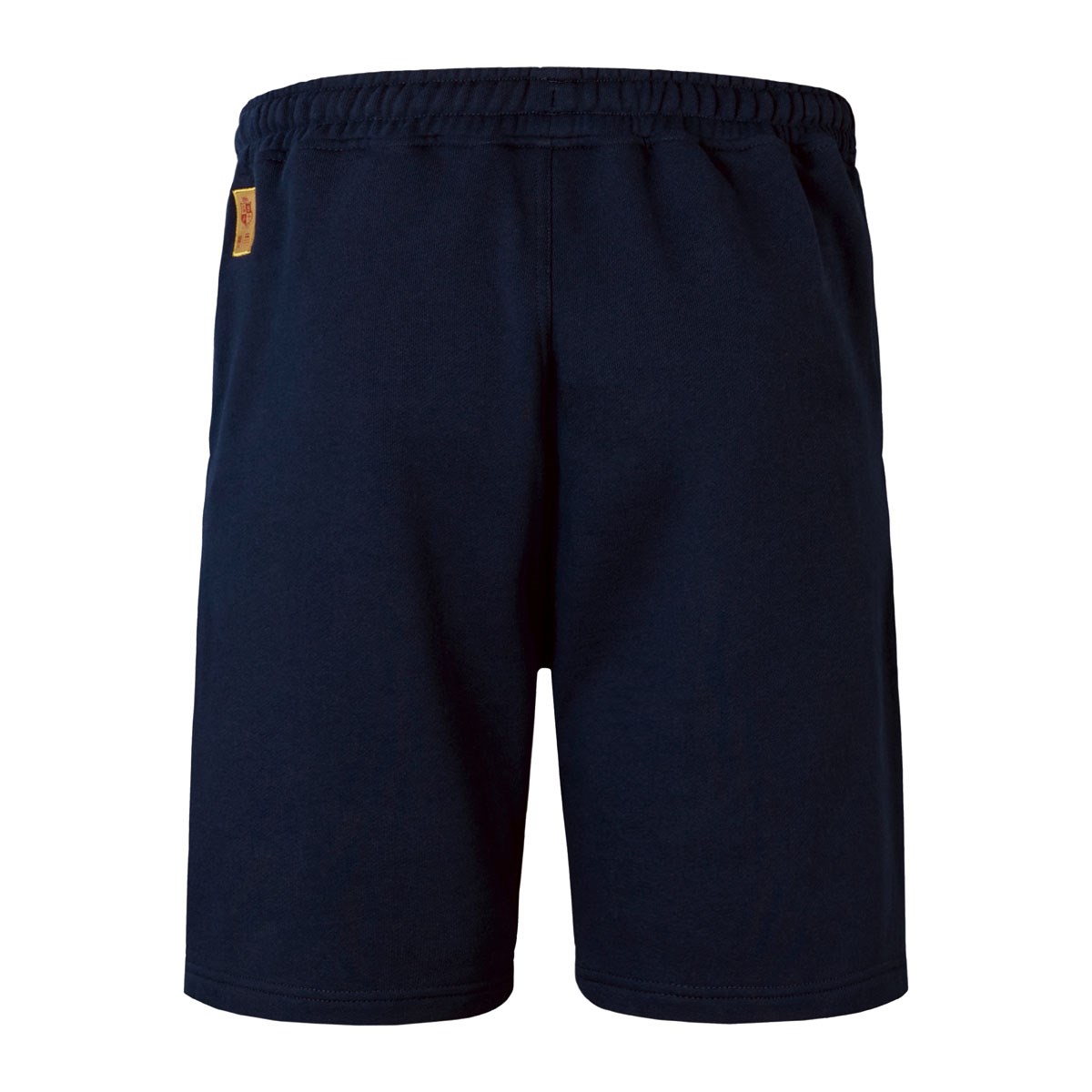 British and Irish Lions Mens Fleece Shorts Navy - Front