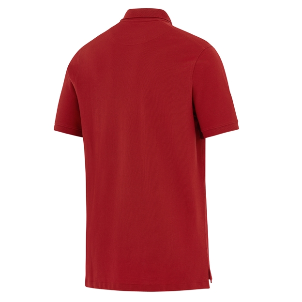 British & Irish Lions Mens Travel Polo 2027 Pepper Read - Back